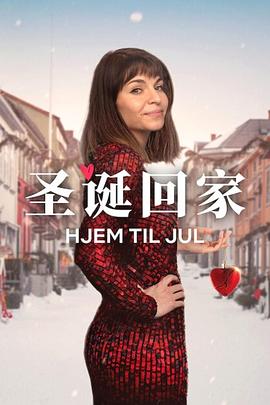 圣诞寻伴第三季封面图