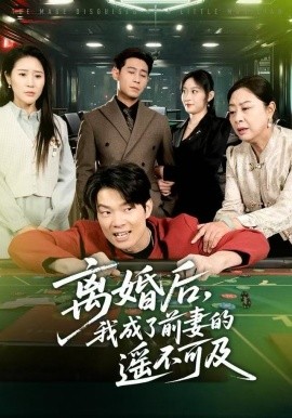 离婚后，我成了前妻的遥不可及封面图