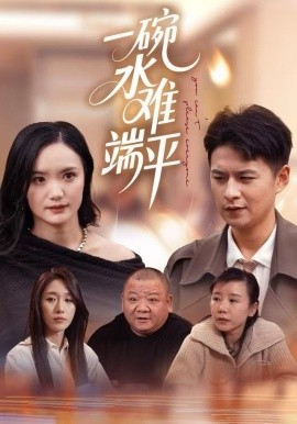 一碗水难端平封面图