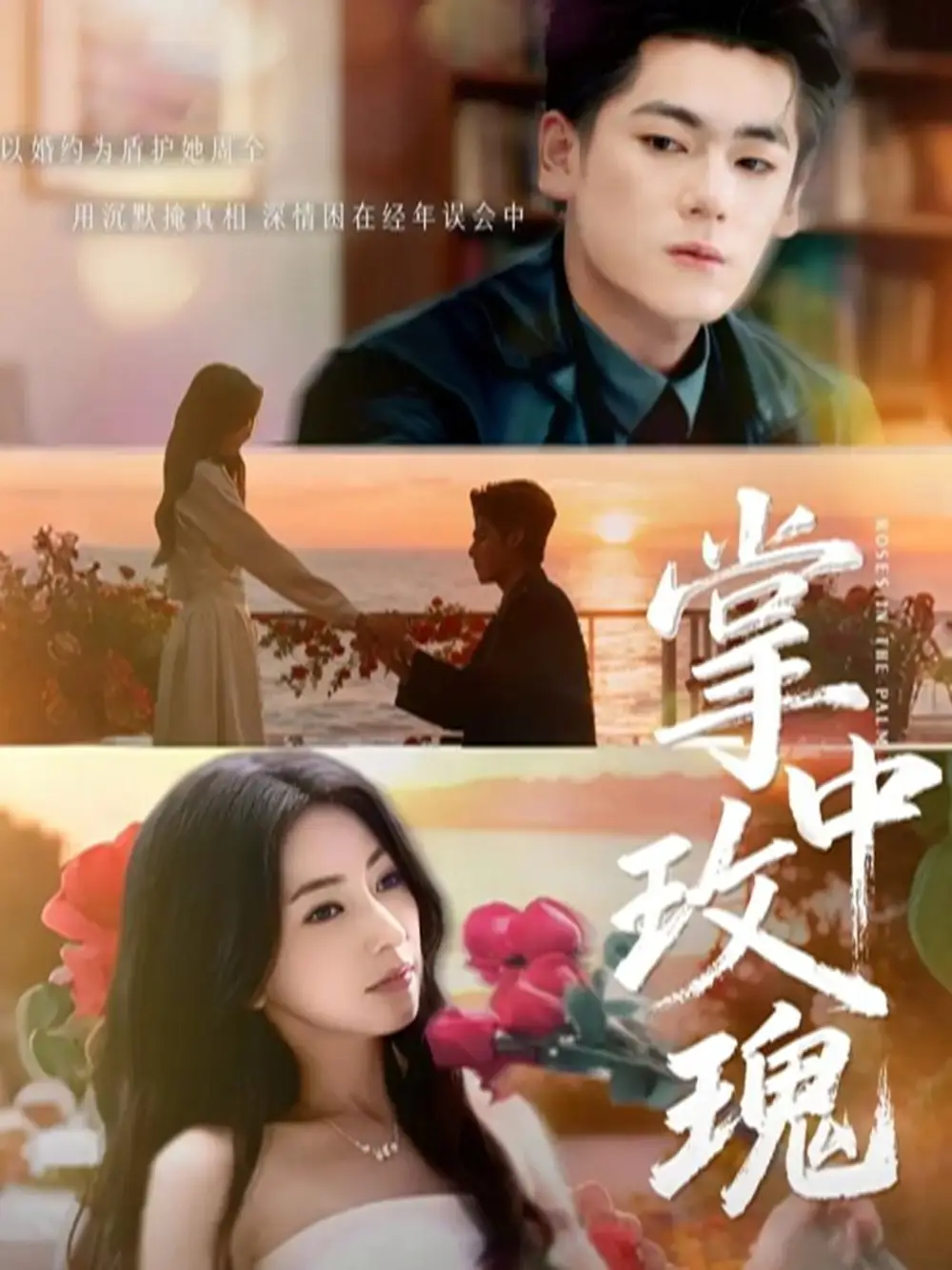 掌中玫瑰封面图