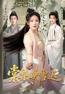 棠梨映雪迟封面图