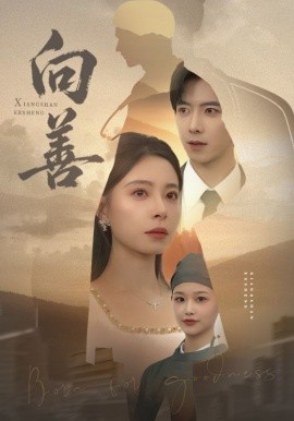 向善 苦果封面图