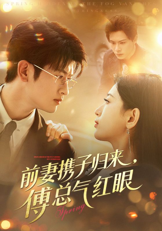 前妻携子归来傅总气红眼封面图