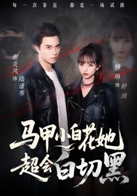 马甲小白花她超会白切黑封面图
