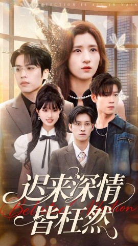 迟来深情皆枉然封面图