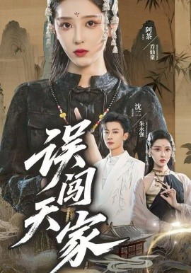 误闯天家封面图