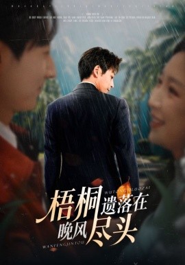 梧桐遗落在晚风尽头封面图