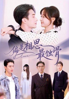 偏是相思最蚀骨 烬爱无归处封面图