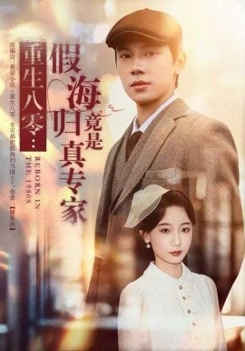 重生八零：假海归竟是真专家封面图