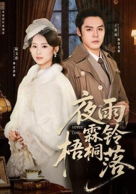 夜雨霖铃梧桐落 烽火错爱封面图