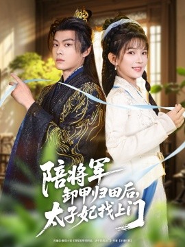 陪将军卸甲归田后，太子妃找上门封面图