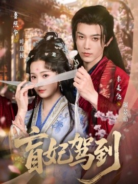 盲妃驾到封面图