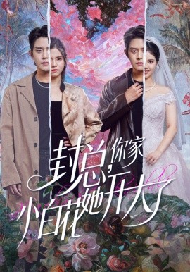 封总，你家小白花她开大了封面图