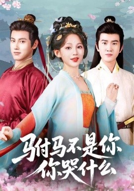 驸马不是你，你哭什么封面图