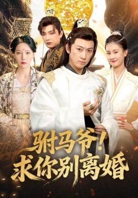 驸马爷！求你别离婚封面图