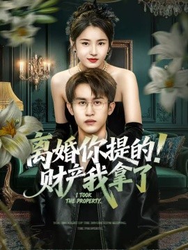 离婚你提的！财产我拿了封面图