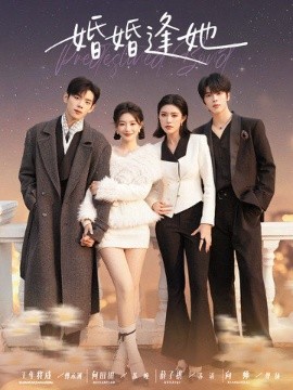 婚婚逢她封面图