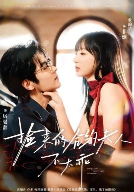 捡来的合约夫人不太乖封面图